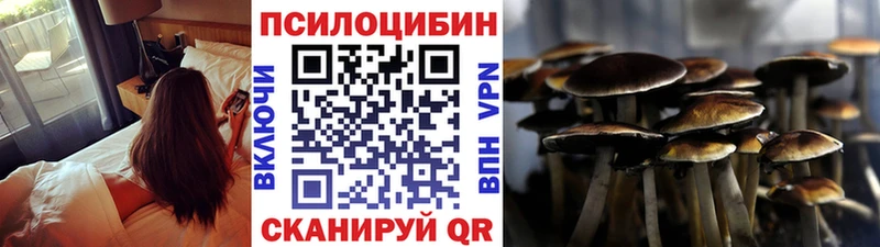 цены наркотик  Перевоз  Псилоцибиновые грибы Magic Shrooms 
